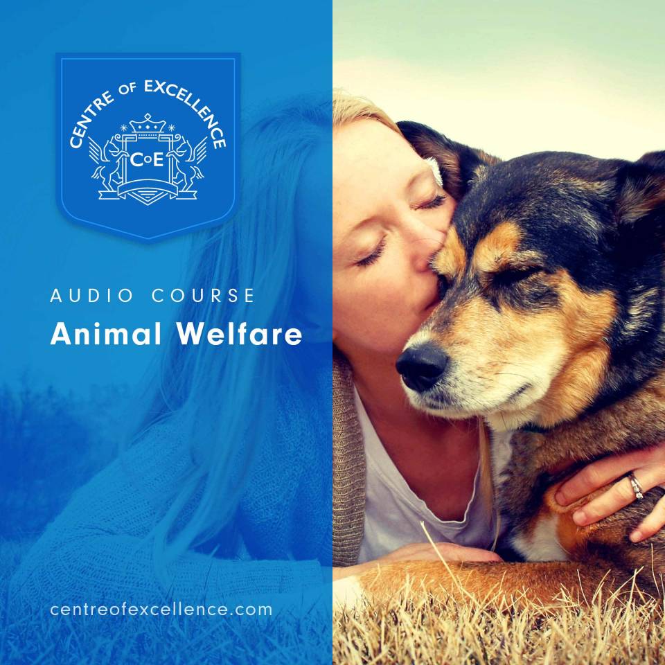 Animal Welfare Audio Course - Centre of Excellence