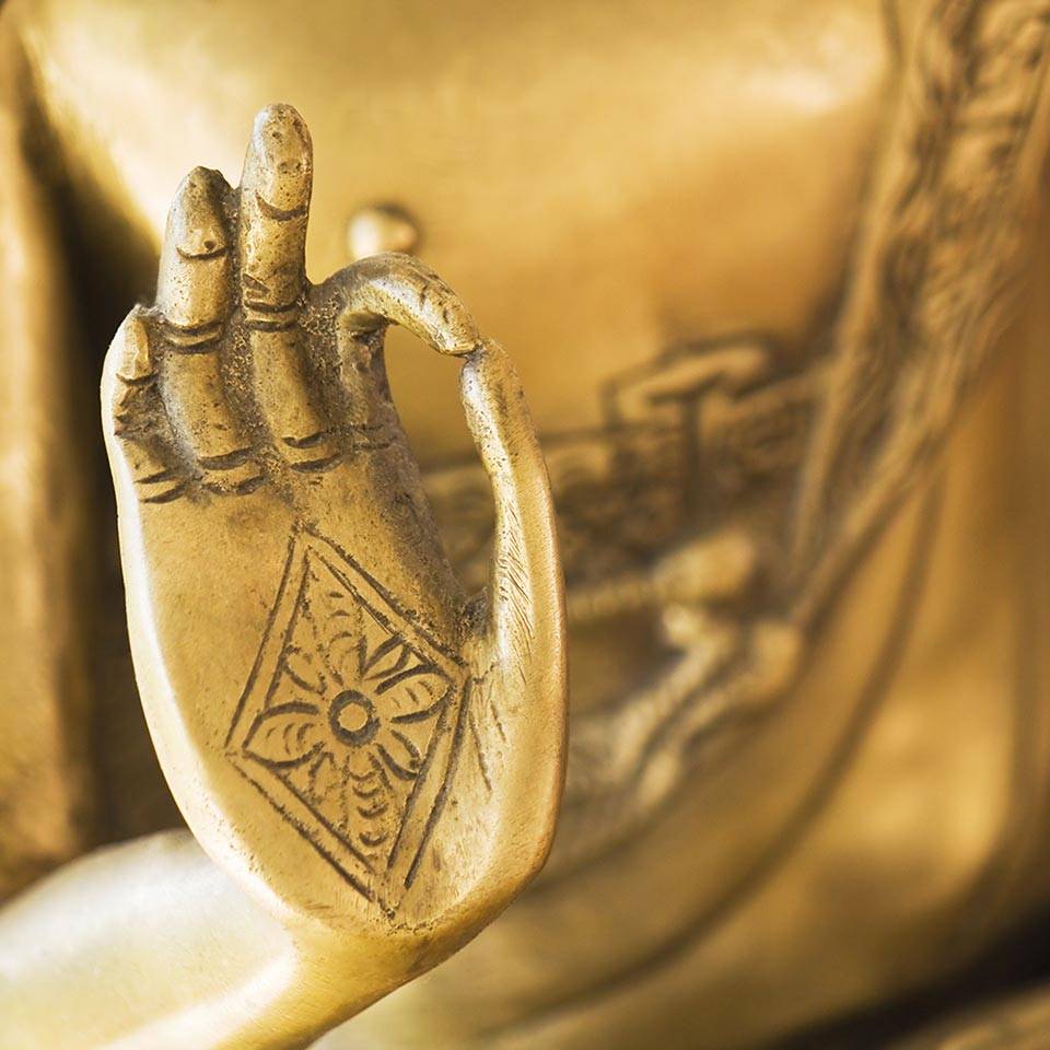 Ayurveda Course Online Ayurvedic Learning Over 150 Hours