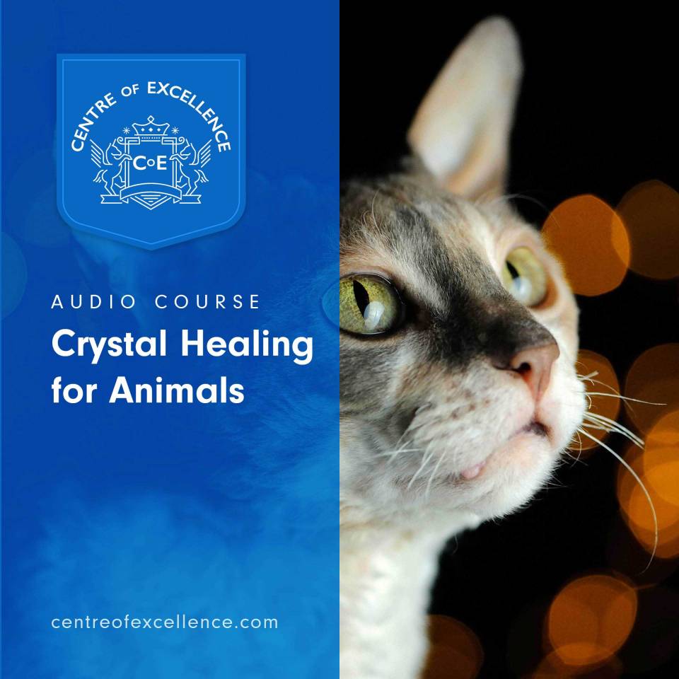 Crystal Healing for Animals Audio Course - Centre of Excellence