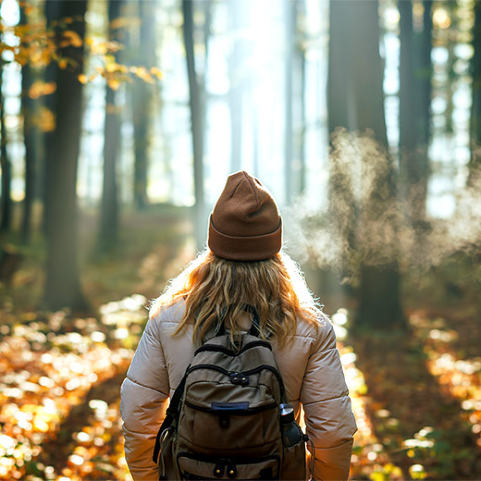 Forest Bathing Shinrin Yoku Course | Online Diploma - Centre Of Excellence