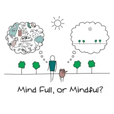 Mindfulness Based CBT Diploma