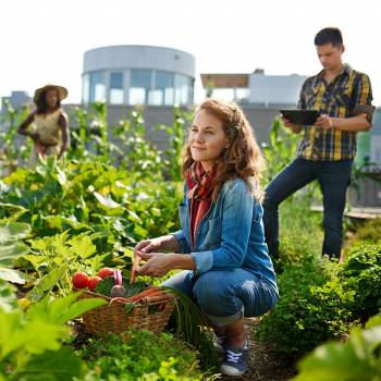 Organic Gardening Diploma Course