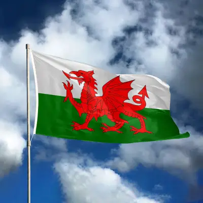 Intermediate Welsh Diploma Course