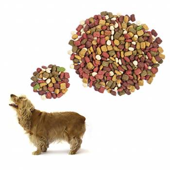 Canine Nutrition Diploma Course