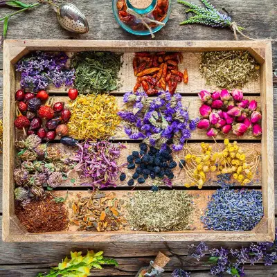 Medical Astrology in Herbalism Diploma Course