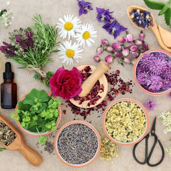 Essential Oils Business Diploma Course