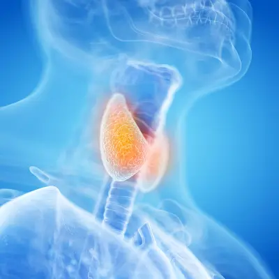 Thyroid Health Diploma Course