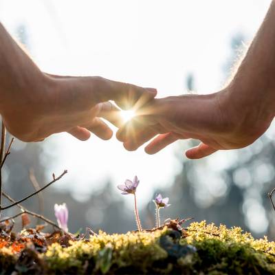 Plant Spirit Healing Diploma Course