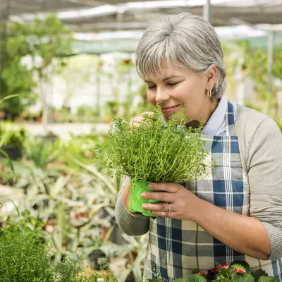 Herbalism for the Elderly Diploma Course