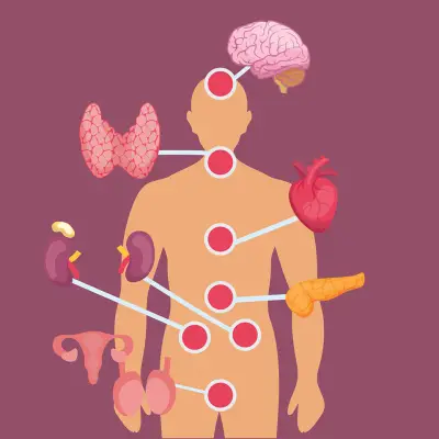 Understanding Hormones Diploma Course