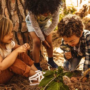 Introduction to Forest Schooling Diploma Course