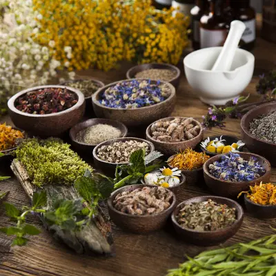 Herbal Compendium Diploma Course