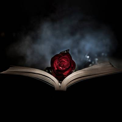 Romance Writing Diploma Course
