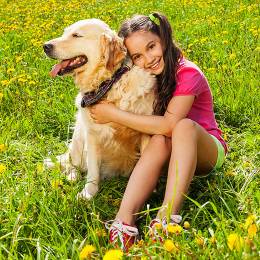 Essential Oils for Children and Animals Diploma Course