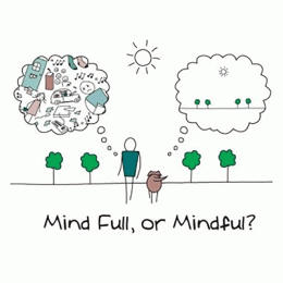 Mindfulness Based CBT Diploma