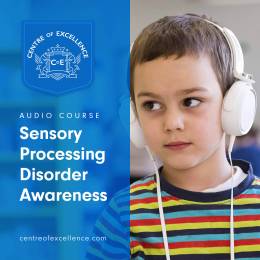 Sensory Processing Disorder Awareness Audio Course