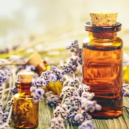 Bach Flower Remedies Diploma Course