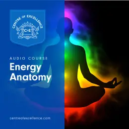 Energy Anatomy Audio Course