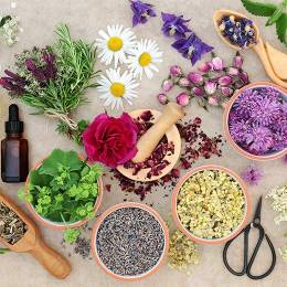 Essential Oils Business Diploma Course