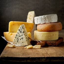 Cheesemaking Diploma Course