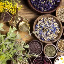 Advanced Master Herbalist Diploma Course