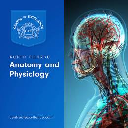 Anatomy and Physiology Audio Course