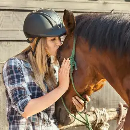 Horse Care & Management Diploma Course