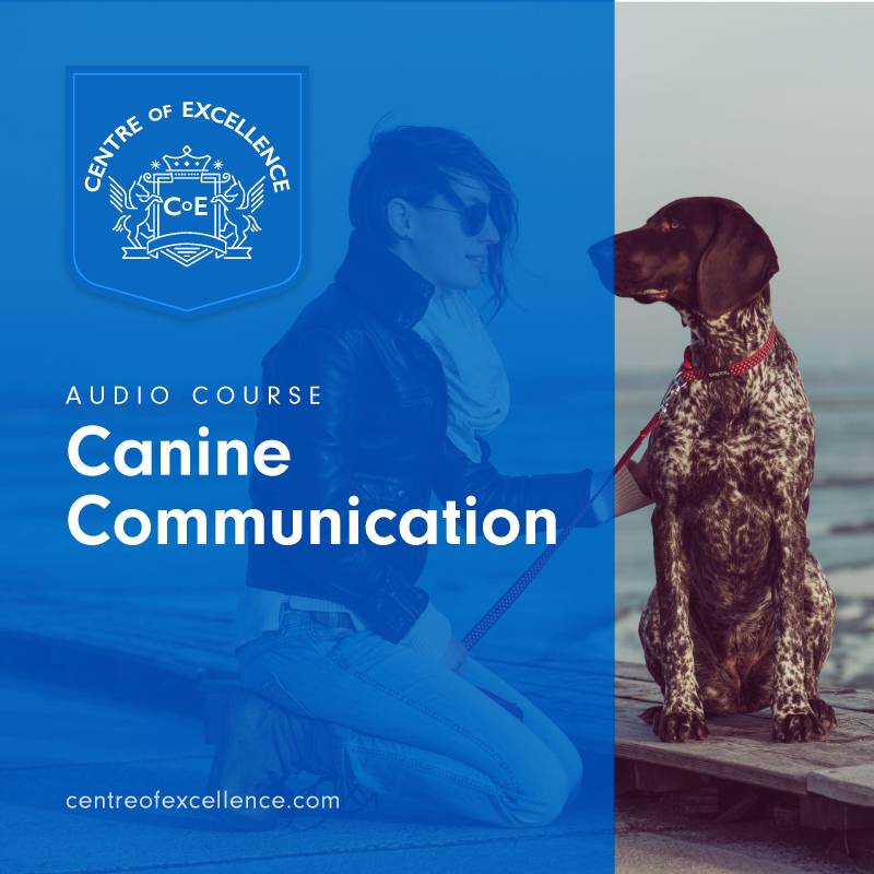 Canine Communication Audio Course - Centre of Excellence