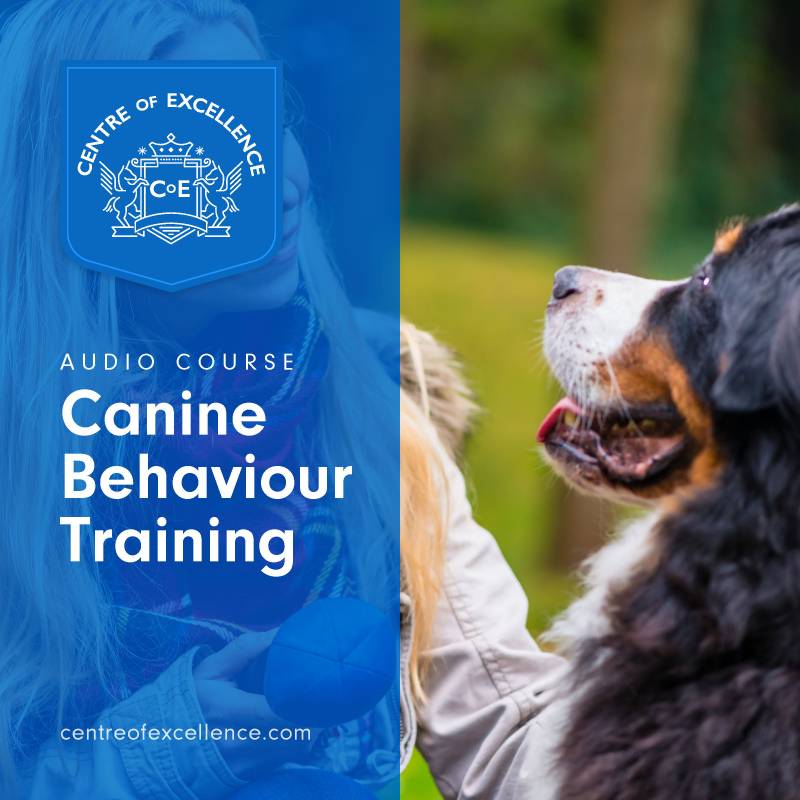 Canine Behaviour Training Audio Course - Centre of Excellence