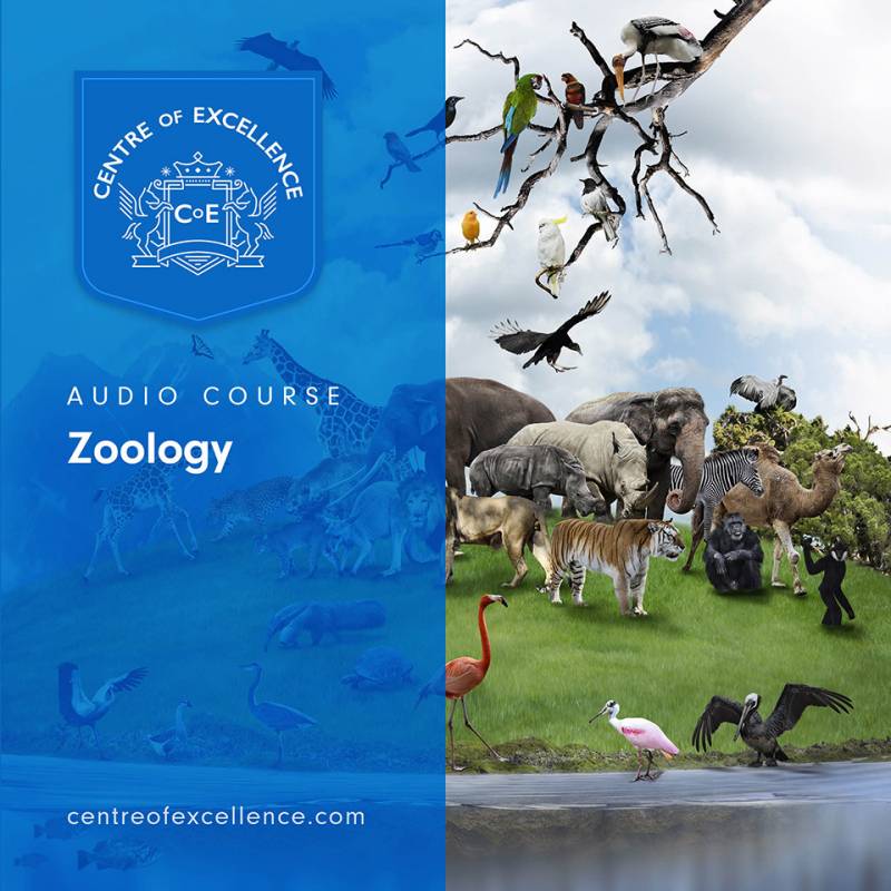 Zoology Audio Course - Centre of Excellence
