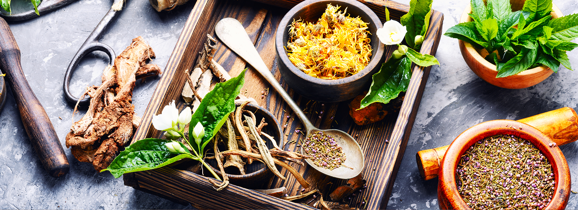 Herbalist 
