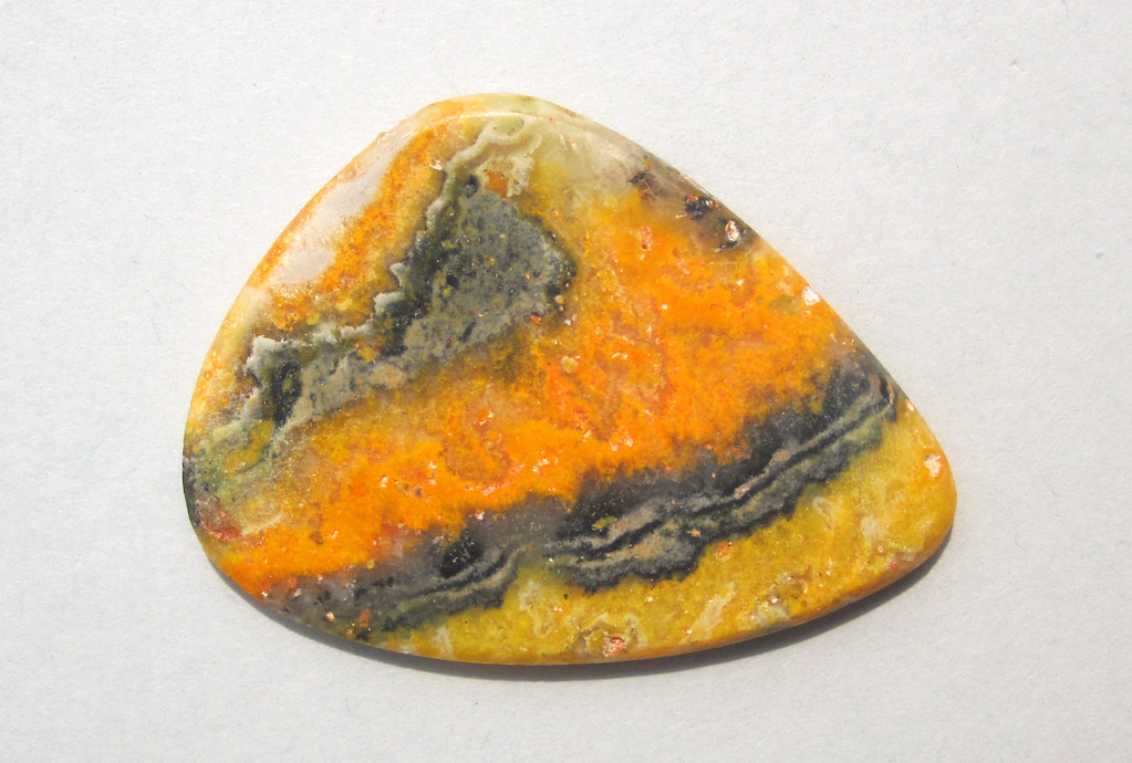 Bumblebee Jasper