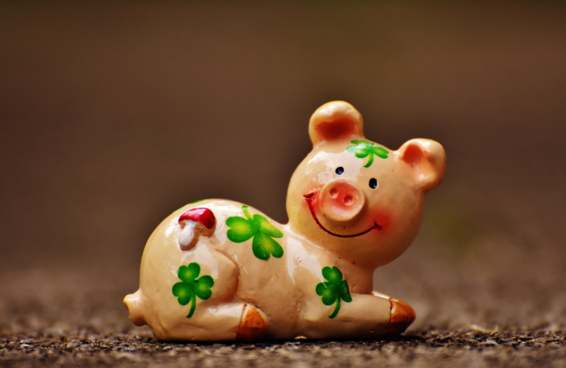 lucky pig asia