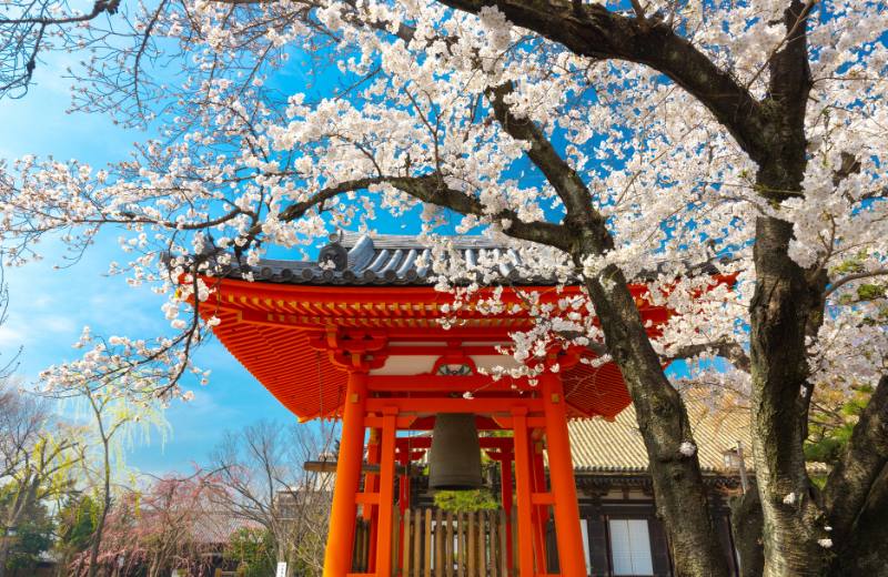 Image of Japan.