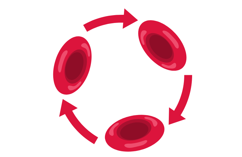 How Does Effleurage Affect the Body?