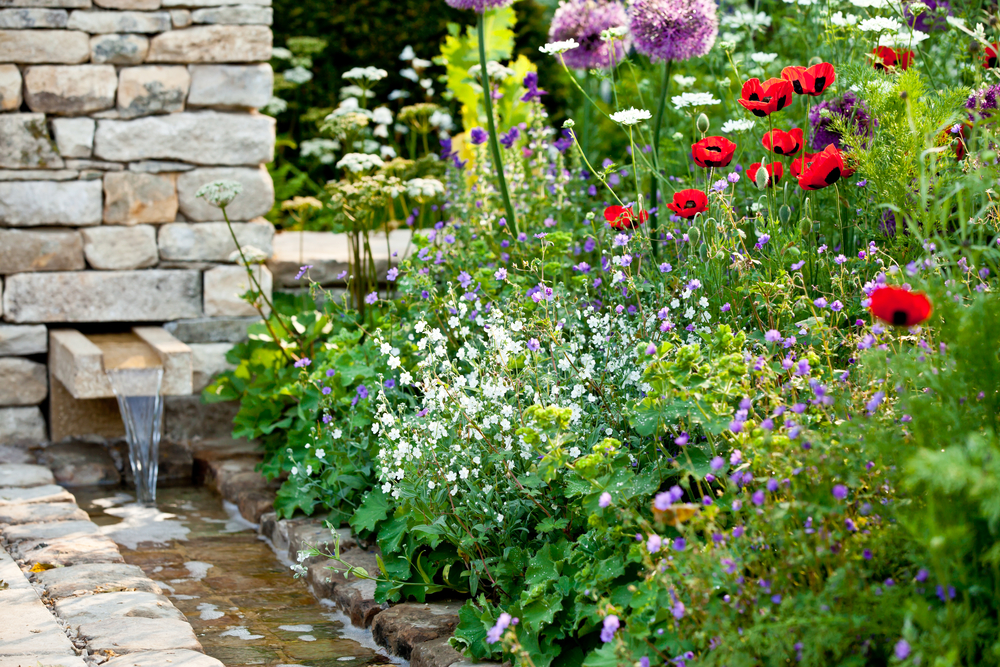 Various different garden flowers with stone wall and stream