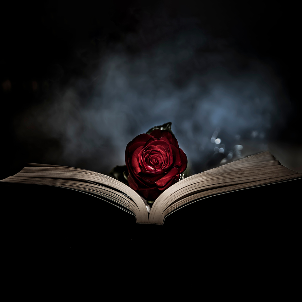 An old book open on a black table with a red rose lying between the pages