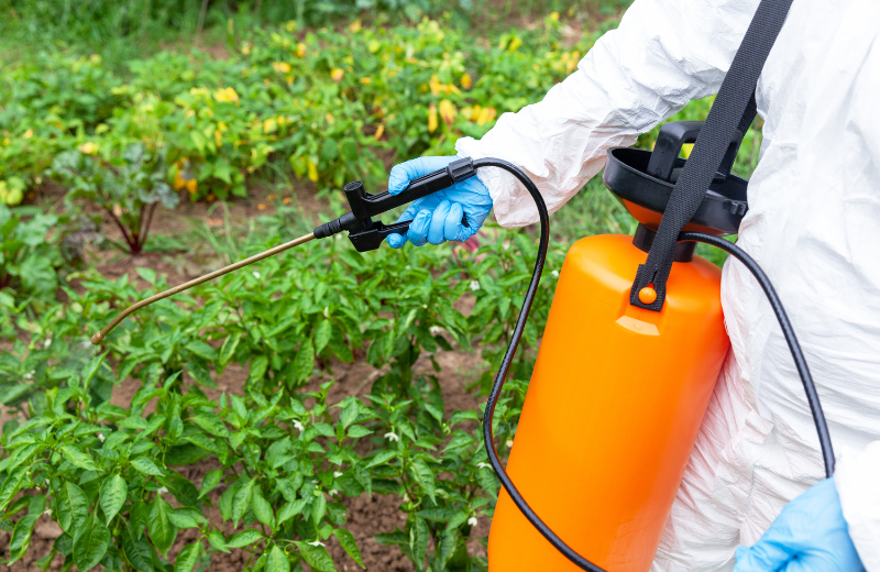 The Dangers of Commercial Weed Killers