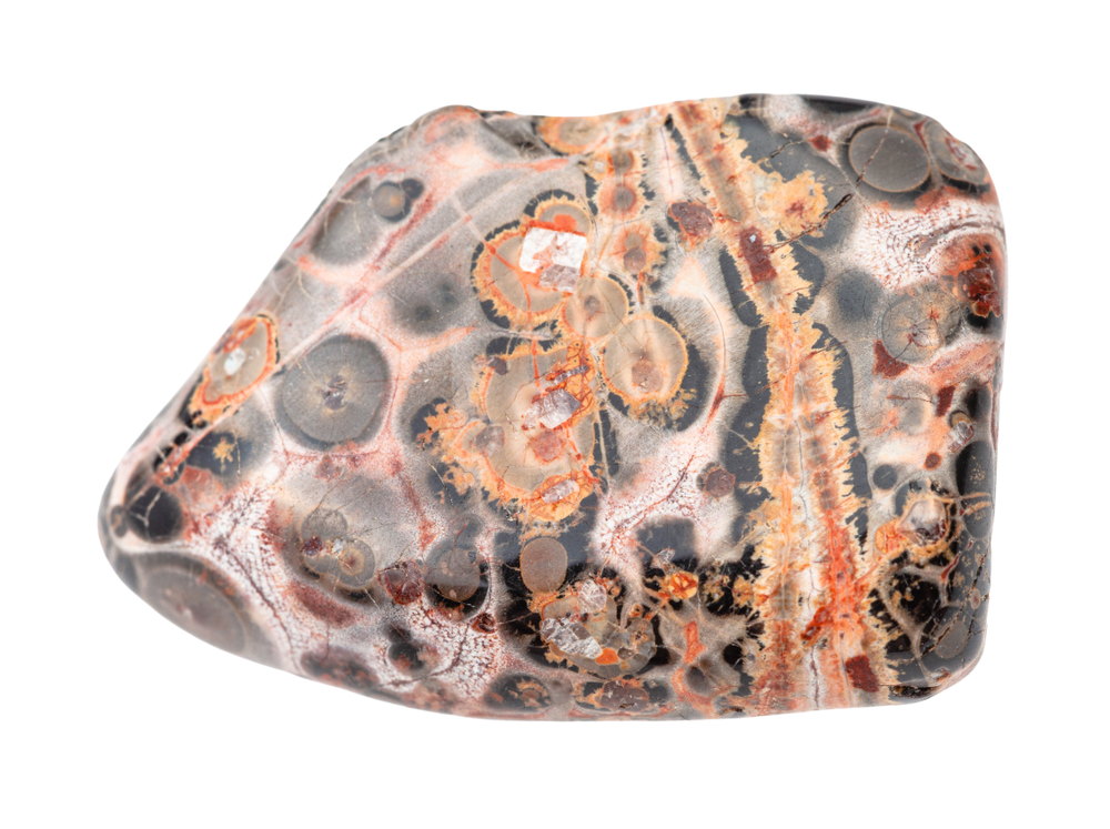 A piece of Leopard Skin Jasper