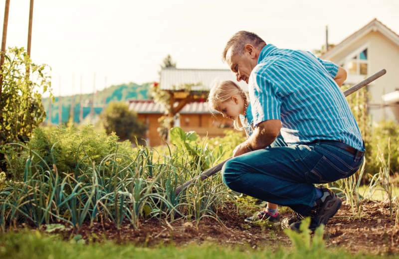 Grandad and granddaughter gardening together