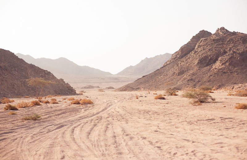 Image of a desert.