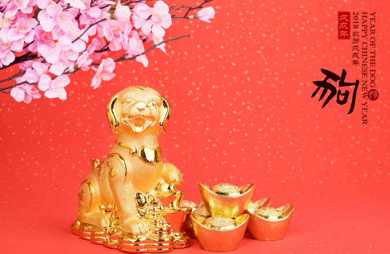 chinese Year of the Dog