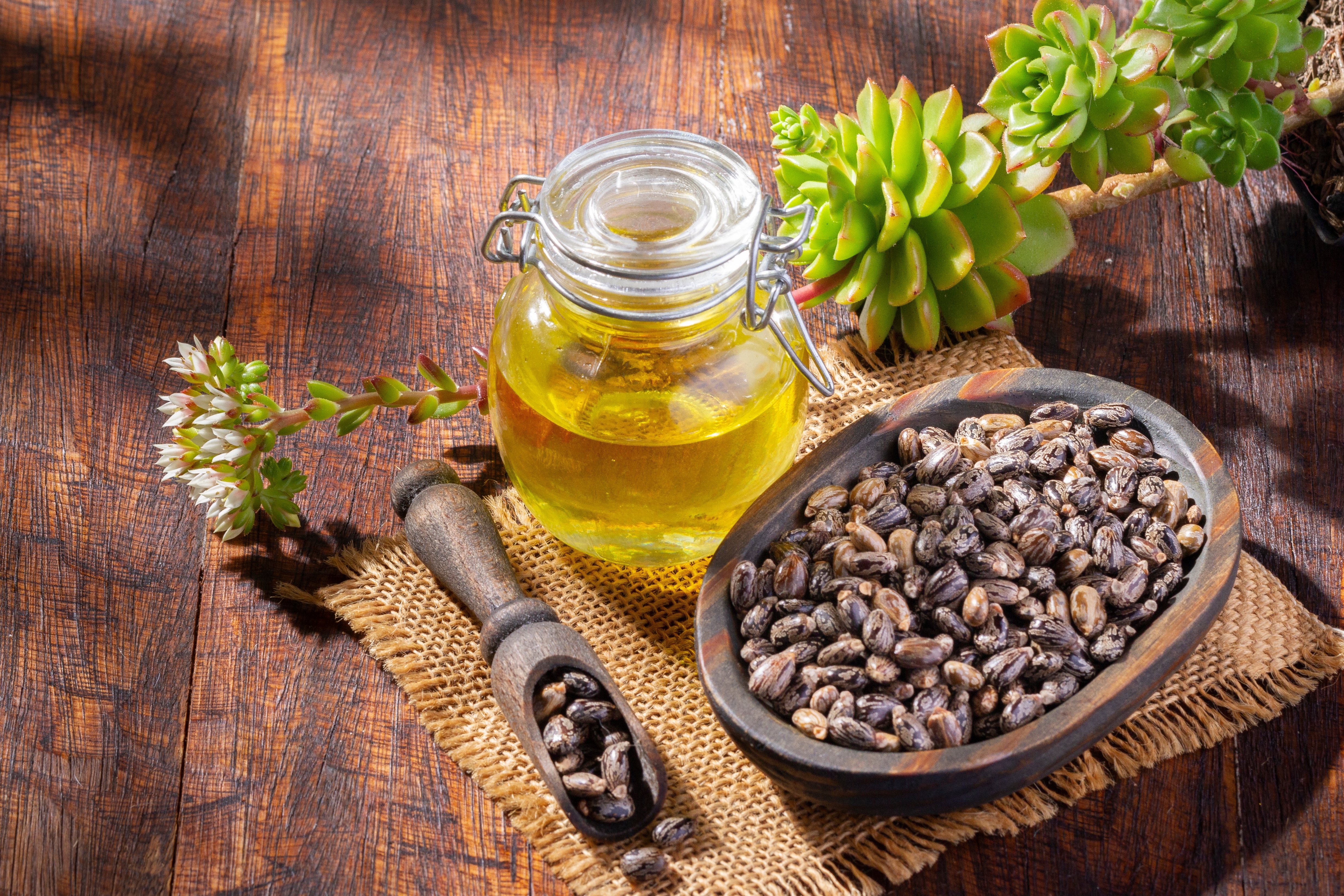 what is castor oil?