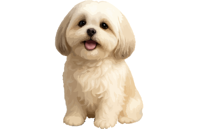 Dogs for Calmer or Smaller Homes
