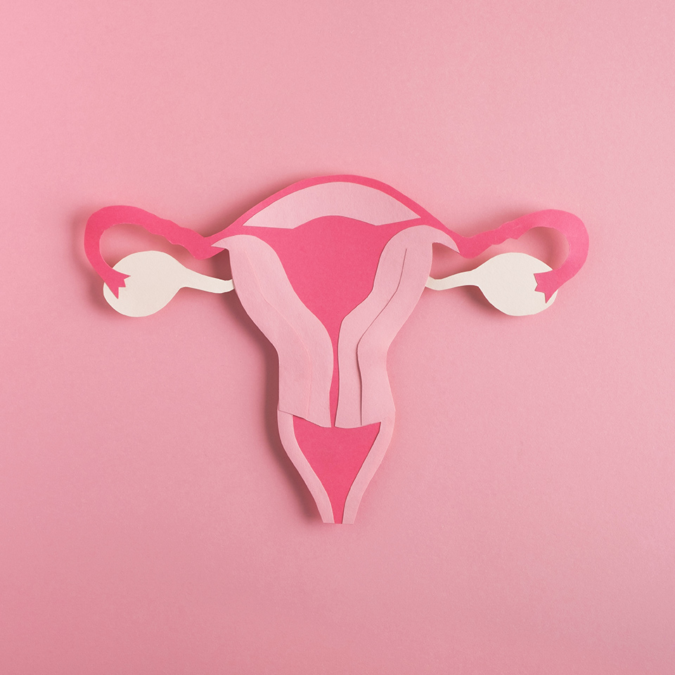 Pink illustration of a uterus made from paper on a pink background.