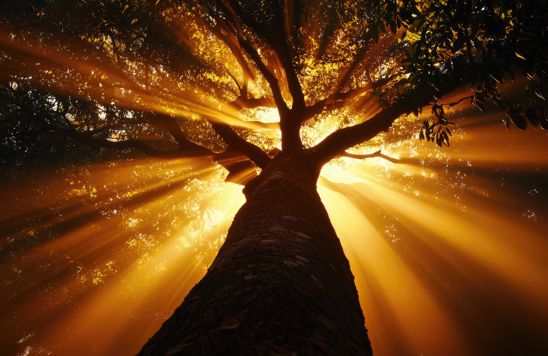 Spiritual Meaning of Gold