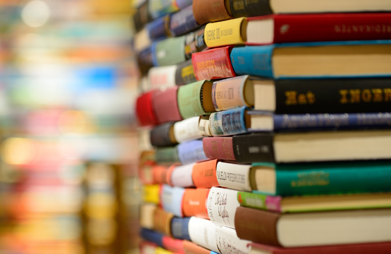 Deuteragonist in books