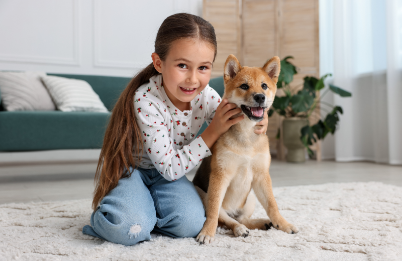 Things to Consider Before Getting a Family Dog