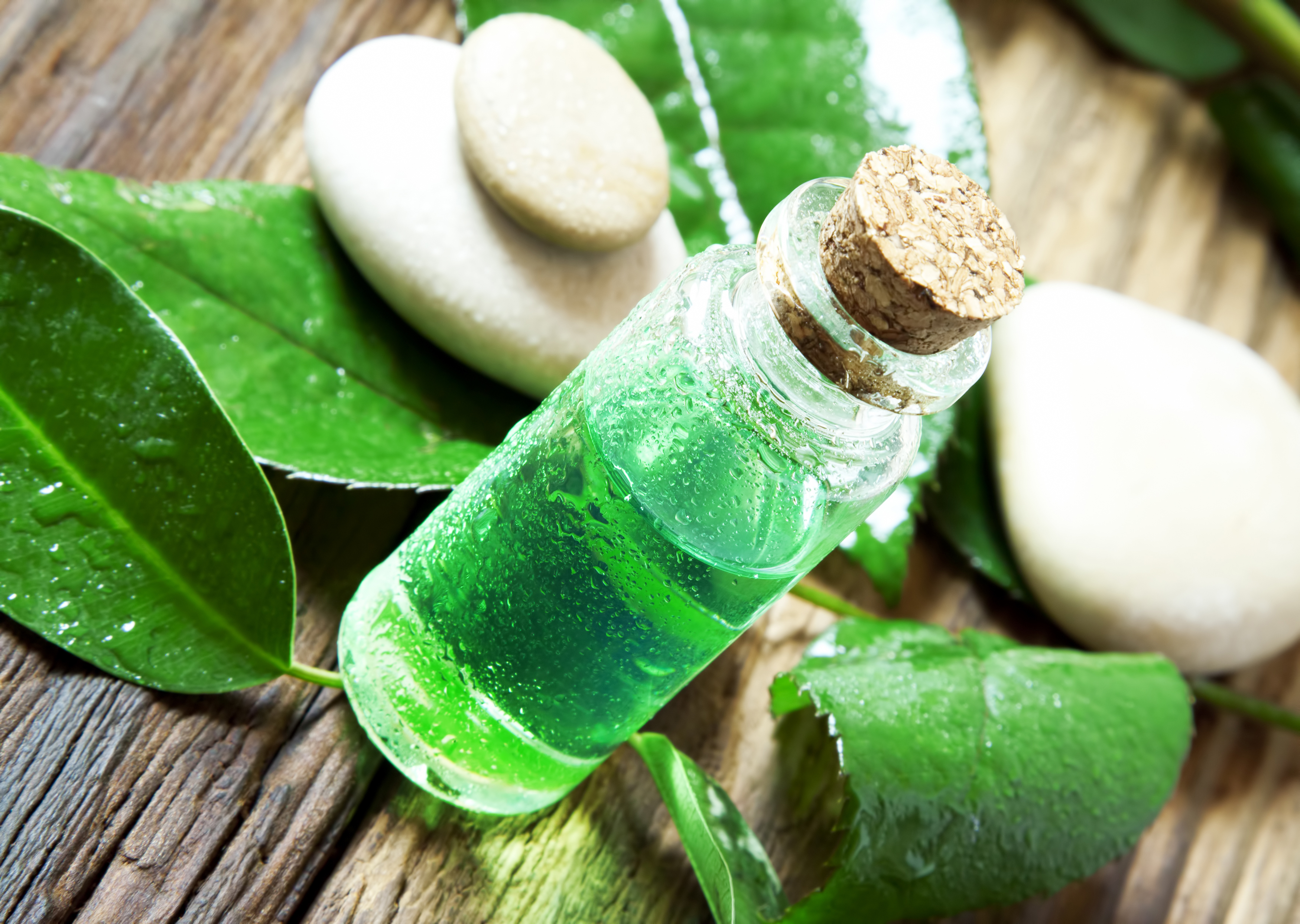 A bottle of liquid with a cork top and leaves next to it