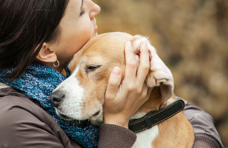 Grieving dogs with separation anxiety